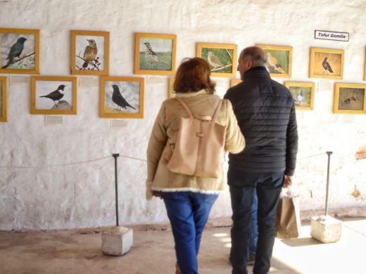 (Fotos) El buen tiempo anima la Fira de la Perdiu en Es Mercadal