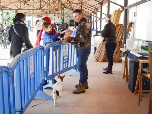 (Fotos) El buen tiempo anima la Fira de la Perdiu en Es Mercadal