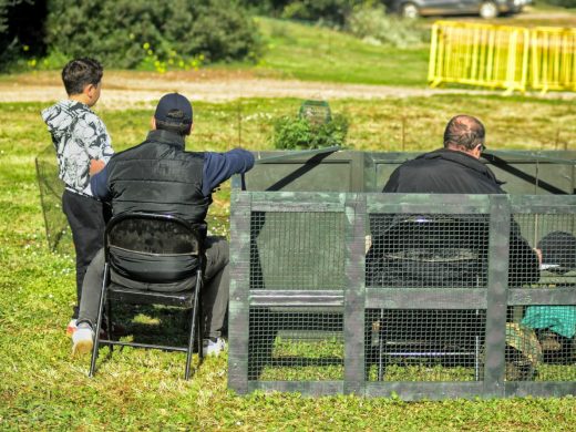 (Fotos) El buen tiempo anima la Fira de la Perdiu en Es Mercadal