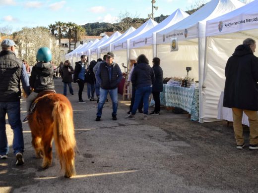 (Fotos) El buen tiempo anima la Fira de la Perdiu en Es Mercadal