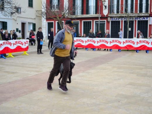 (Fotos) El ‘ca de bestiar’ protagonista este domingo en Alaior