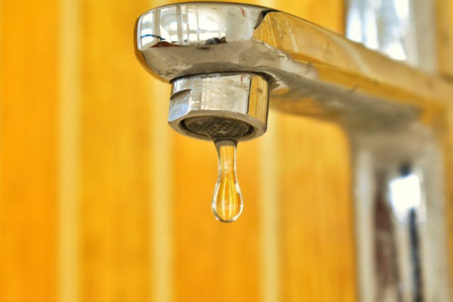 Agua del grifo.