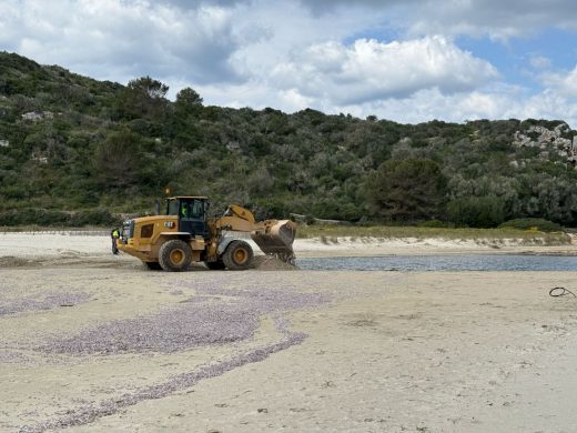 (Fotos) Cala en Porter recupera su aspecto habitual