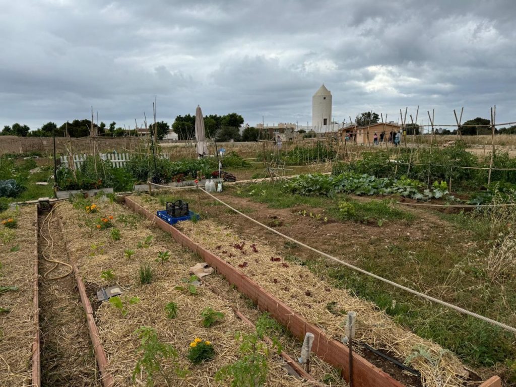 Huertos en el Camí d’en Guixó.