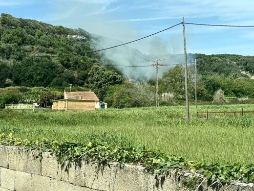 (Fotos) Un incendio causa la muerte de más de veinte gallinas en la zona de los Vergers de Sant Joan