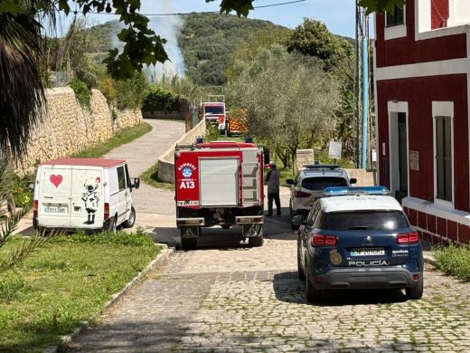 (Fotos) Un incendio causa la muerte de más de veinte gallinas en la zona de los Vergers de Sant Joan