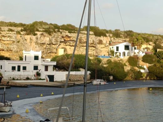(Fotos) El azul de las velellas vuelve a invadir la costa de Cala Sant Esteve
