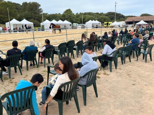 (Fotos) Es Mercadal se convierte en la capital del caballo de pura raza española