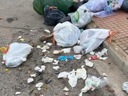 (Fotos) Ciutadella intensifica los controles contra el mal uso de los contenedores