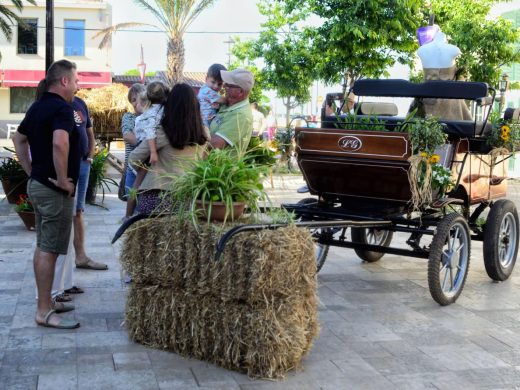 (Fotos) Flores y colores en Sant Climent