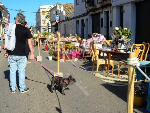 (Fotos) Flores y colores en Sant Climent