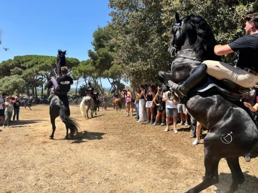 (Fotos y vídeo) El ‘replec’ de Ses Arenes de Dalt, preludio de la fiestas de Sant Joan