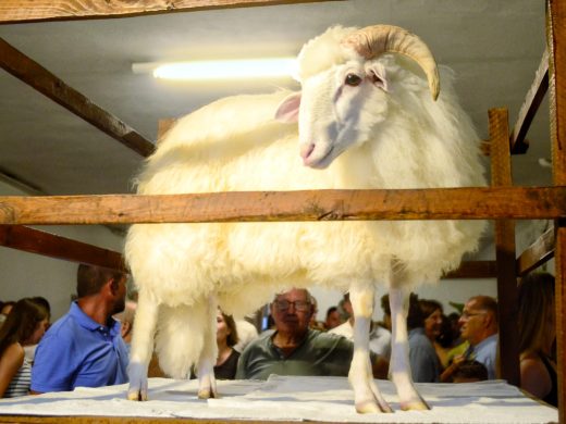 (Fotos y vídeos) Empieza la Vetlla des Be